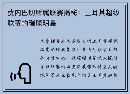费内巴切所属联赛揭秘：土耳其超级联赛的璀璨明星